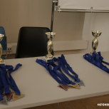 Лига ИТМО по шахматам III этап